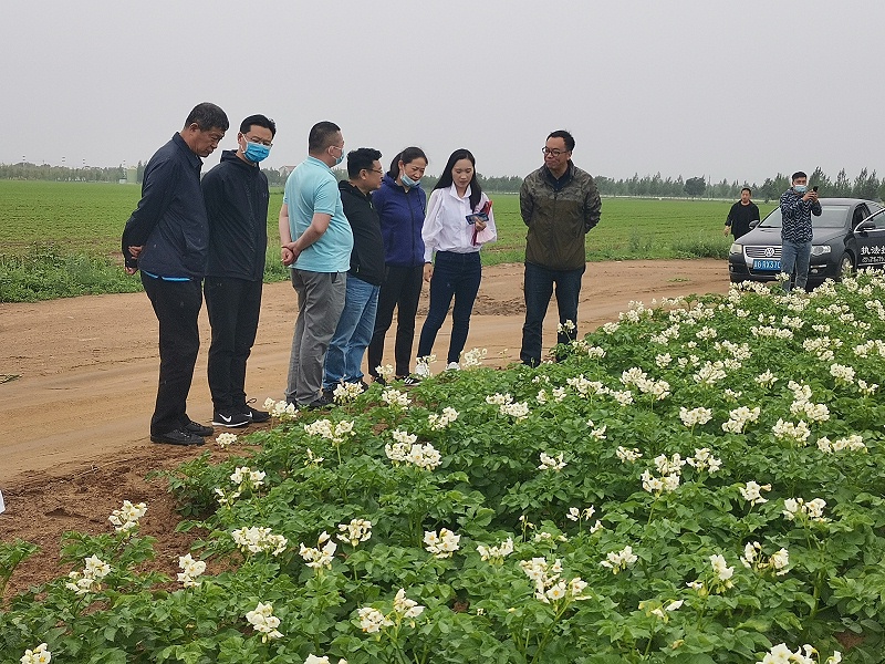 張家口戶外廣告公司